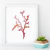 Corals Art Print Wall Pictures Home Decor  , Watercolor Cora Print Wall Art Hanging Bathroom Canvas Painting Nautical Decoration