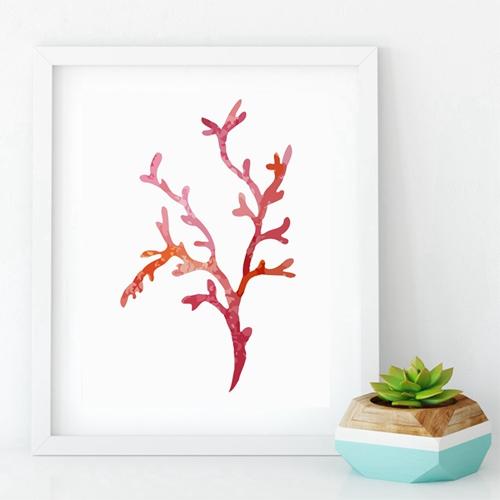 Corals Art Print Wall Pictures Home Decor  , Watercolor Cora Print Wall Art Hanging Bathroom Canvas Painting Nautical Decoration