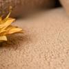 Winter Lamb Velvet Sofa Cushion Non-slip Nordic Simple Cushion Four Seasons General Thickening Fabric Plush Sofa Cover