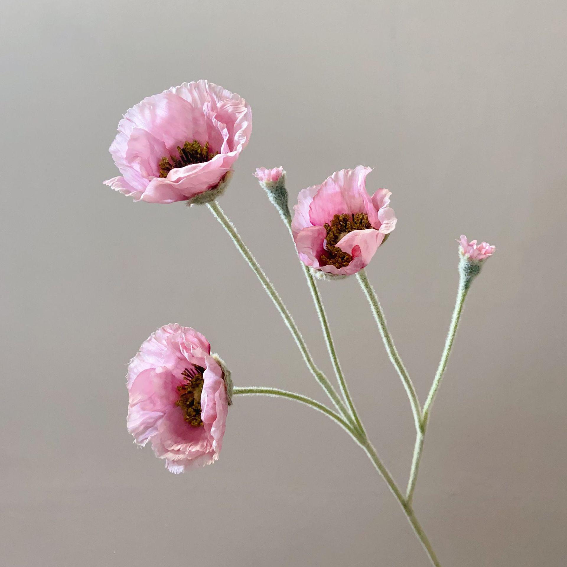 Qualitäts-Seidenmohn Eisberg Künstliche Blume - Beflockter Kornmohn Simulation mit Ölgemälde Design