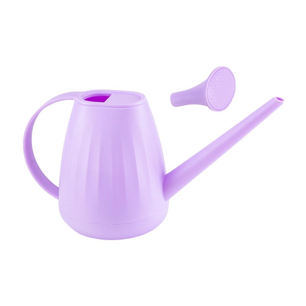 2L Watering Can with Extended Spout for Indoor and Outdoor Plants