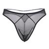 Transparent Sexy Men's Thong, Ultra-thin Mesh Low-rise Seduction Panties, Male Sex Underwear T-pants 2011