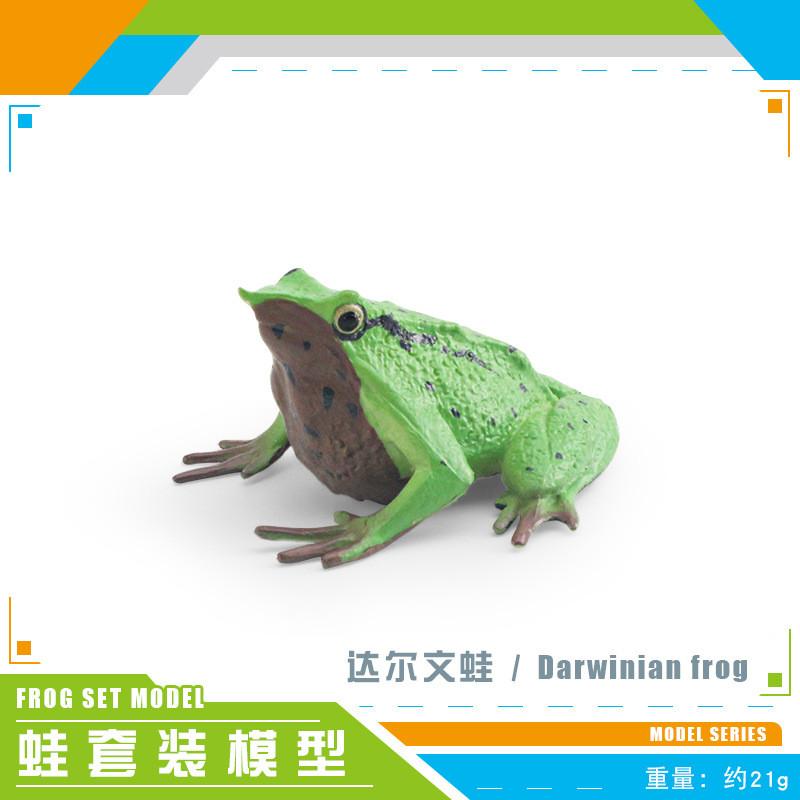 High Quality Decorative Frog Statues Including Red Eyed Tree Frog And Darwin Frog Models