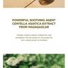 SKIN 1004 - Madagascar Centella Soothing Cream Bundle Set
