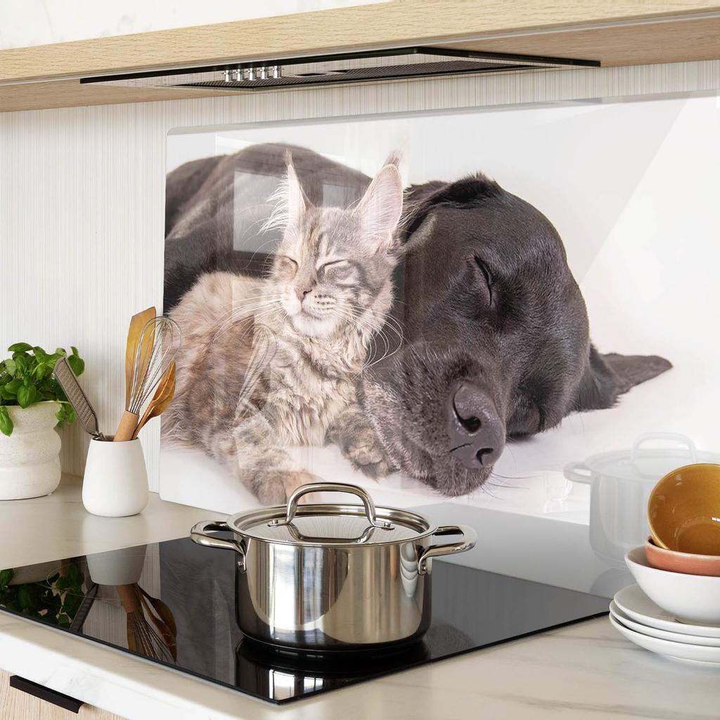 Decorative Tempered Glass Kitchen Chopping Board Dog and Cat 80x52 cm