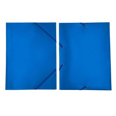 Expandable A4 File Folder Plastic Document Organizer  Document Organization