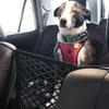 Car Seat Back Organizer with Auto-Retractable Storage Pocket, Pet Barrier, Easy-to-Install Fabric Accessory for Vehicle Interior