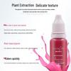 Gangya Semi-Permanent Makeup Pigment for Brows, Lips & Eyeline - Beginner Kit