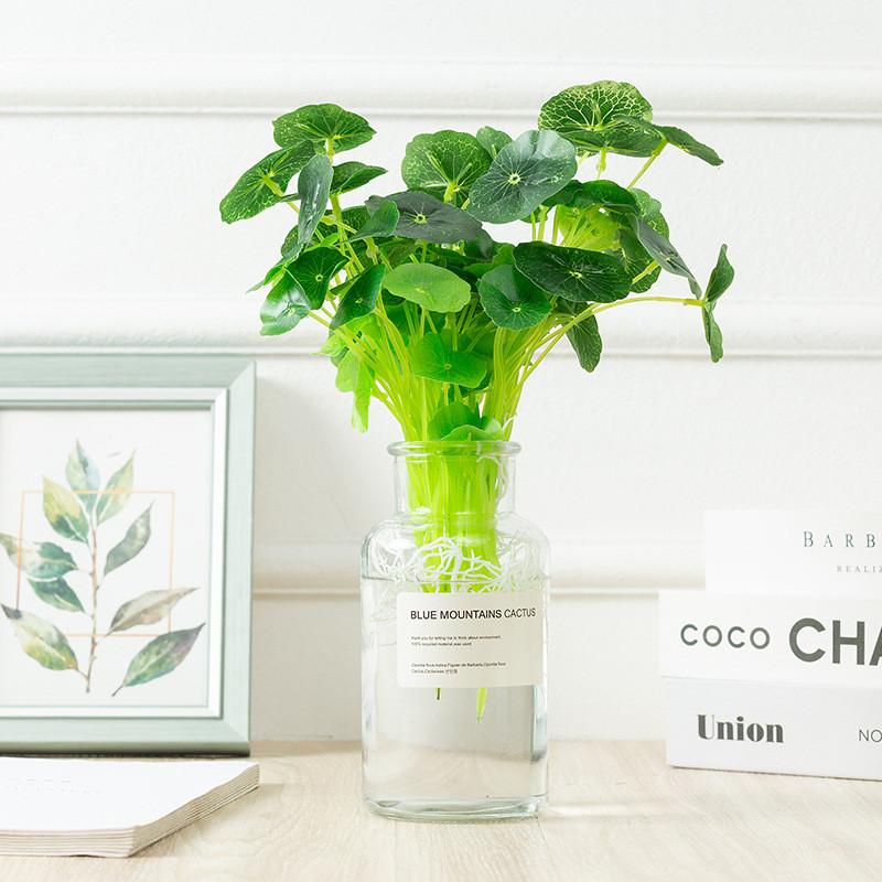 Hydrocotyle Vulgaris Faux Aquatic Green Plant For Photography Event Decor