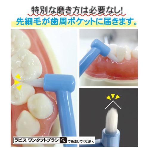 LAPIS, the God of Toothbrushing: Dental Toothbrush, Regular, Spiral Twin, Charcoal Bristles, Set of 7, LA-211PET Clear