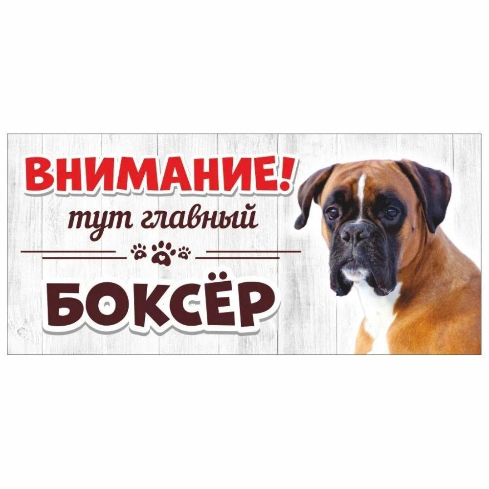 Evil Pomeranian Spitz Sign, Metal Fence Door Plaque 30x15cm