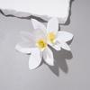 1/4 Pezzi Fiori Nuziali Hawaiani Fermagli per Capelli Barretta Bohemia Fiori di Canna Piccoli Clip per Capelli Per Accessori Capelli Matrimonio