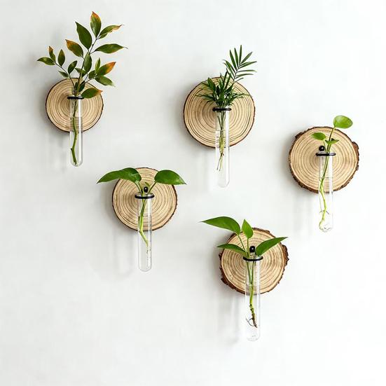 3 Stück Wandmontiertes Pflanzen-Terrarium Vermehrungsstation Klarer Zylinder Hängendes Reagenzglas Pflanzer Innen Dekorative Blumenvase für Badezimmer Büro