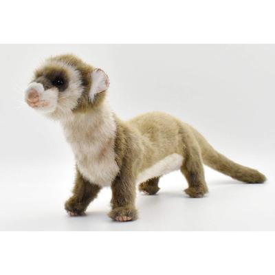 BH6310 HANSA Ferret 56