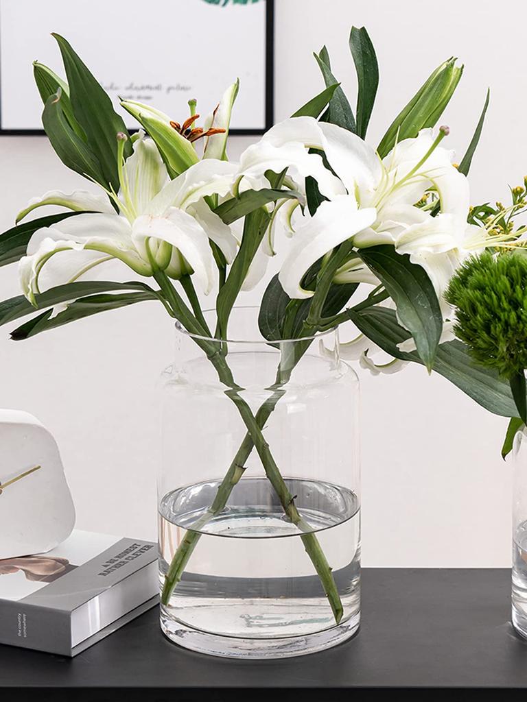 Glass Vase, Transparent, Large Vase, Flower Base, Glass Base, Glass Bottle, Arrangement, Interior, Hydroponics, Ikebana, Artificial Flowers, Stylish,