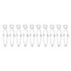 10Pcs Metal Made Test Tube Clamp Large Size Centrifuge Tube Clamp  Laboratory Experiment