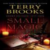 Small Magic by Terry Brooks Paperback Book 9780525619987