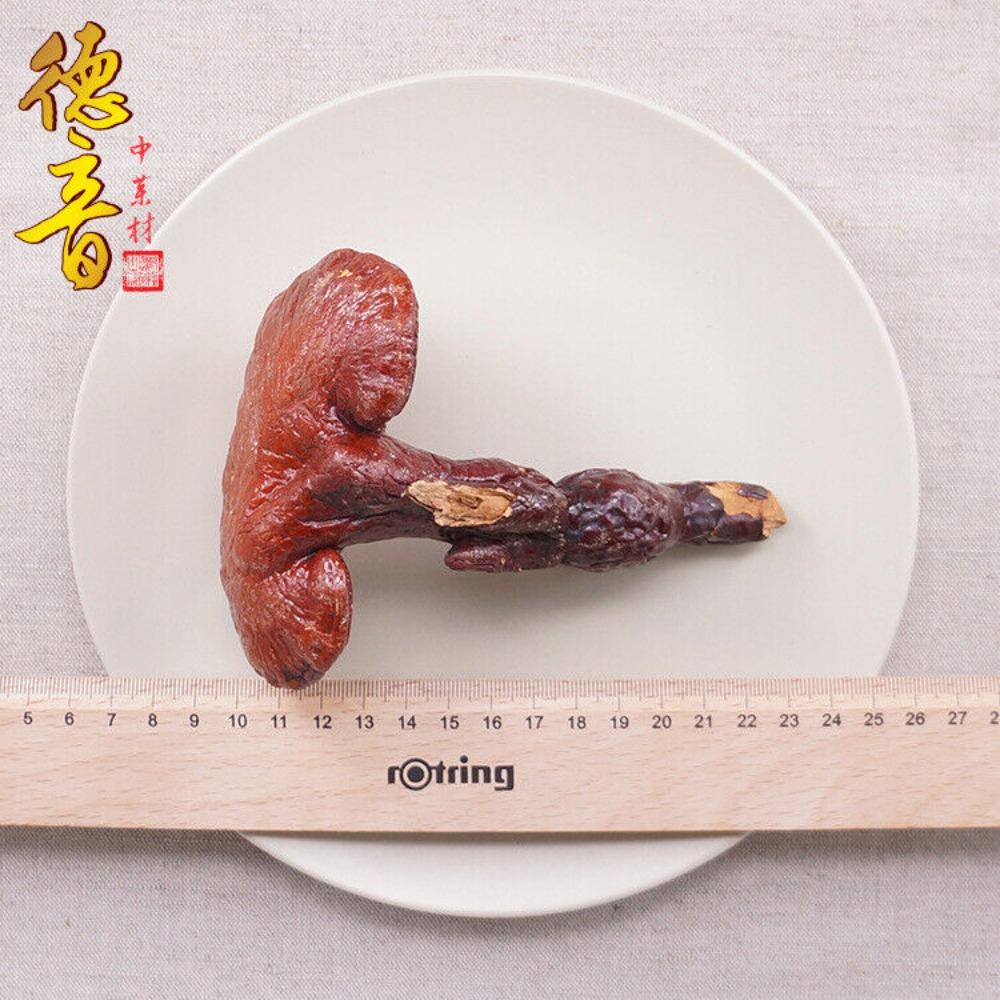 High Quality Ganoderma Lucidum 500g Jilin Origin Natural Herbal Tea Dietary Supplement