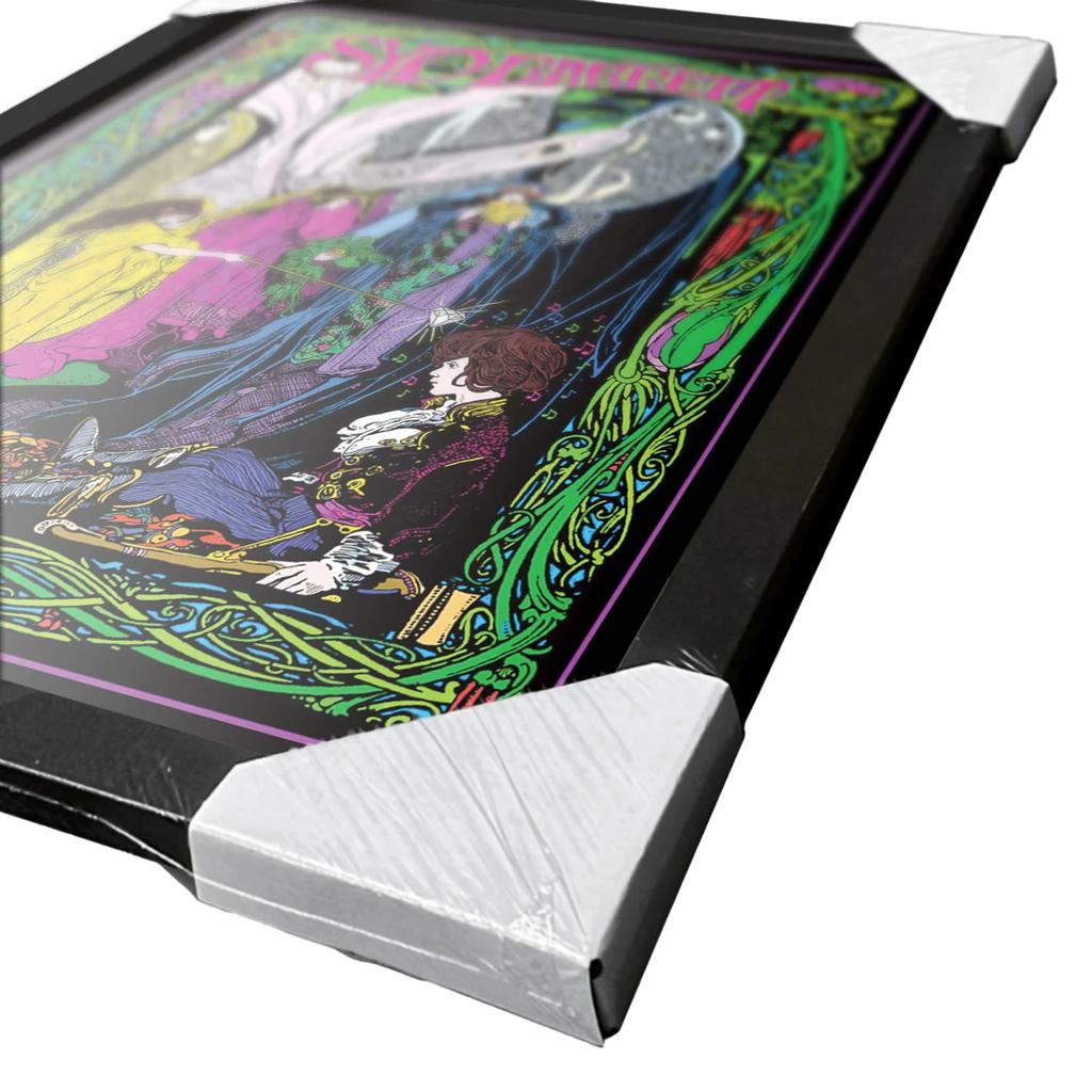 Syd Barrett Butterflies Framed Poster