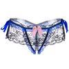 Women's Sexy Lace Panties High-Crotch Transparent Floral Briefs Underwear