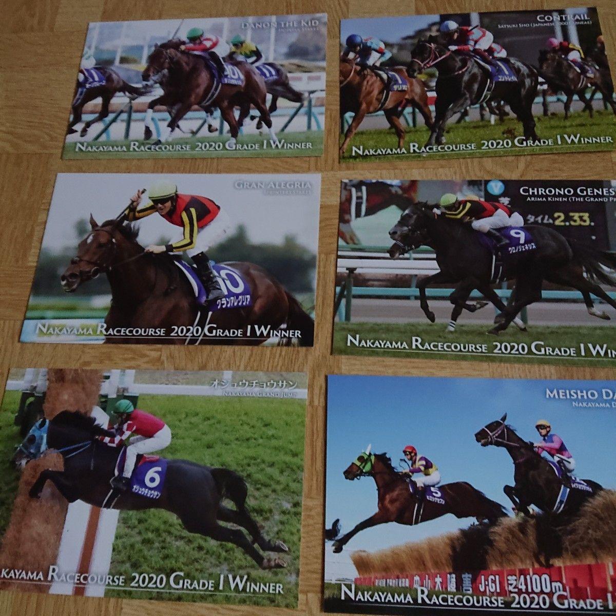 Used Horse Racing Postcard (Almond Eye, Contrail) JRA Campaign
