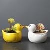 Cute Duck Flower Pot Succulent Pot Ceramics Planter Home Decor Desktop Ornaments Bonsai Plant Pot Garden Decoration