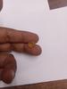 5.50 Carat Natural Yellow Sapphire Gemstone / Pukhraj Loose Gemstone September Birthstone