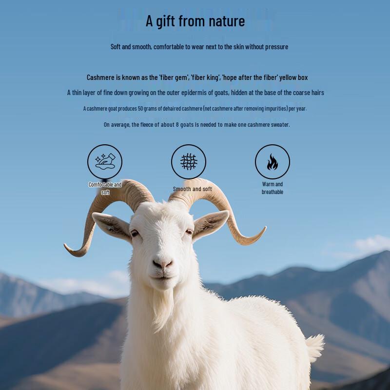 Shanshan Men's Cashmere Blend Round Neck Sweater