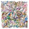 50 Watercolor Bird Transparent Stickers for Phone, Luggage, iPad, Water Bottle, Guitar - Waterproof Decorative Set