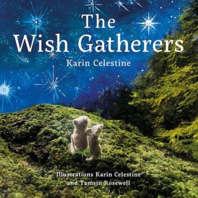 The Wish Gatherers by Karin Celestine Hardback Book 9781802581874