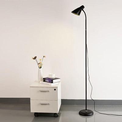Rechargeable LED Floor Lamp