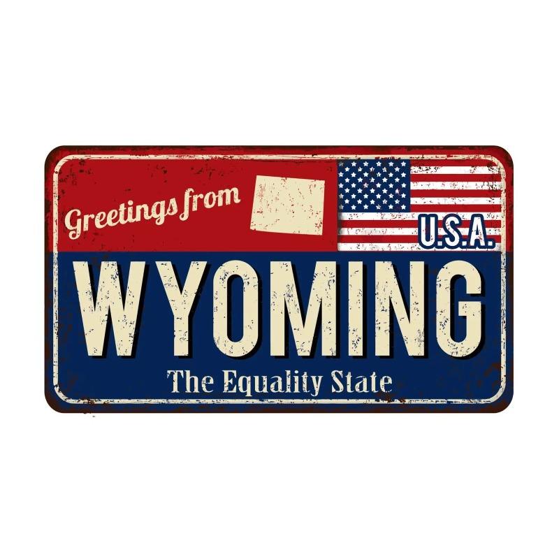 Motorcycle Metal Wall Sign, Garage Bar Decor Plaque 30x15cm