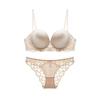 Elegant Lace Underwire Bra Set for Women - Seamless, Beautiful Back Design, Small Bust Enhancing, Soft Steel Ring Support.