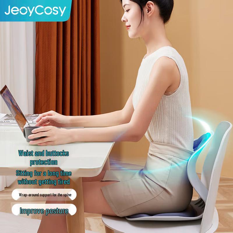 

Ergonomic Lumbar Support Seat Cushion with Backrest