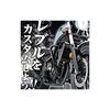 Daytona Rebel 250/500 (17-23) Dedicated Side Bag Support, Left Side Saddlebag Support 95225
