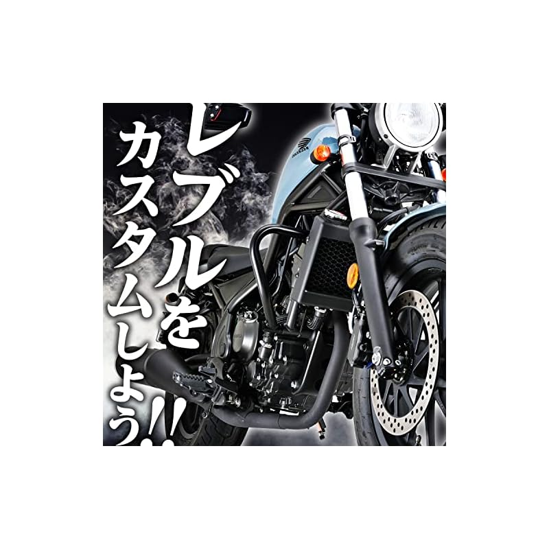 Daytona Rebel 250/500 (17-23) Dedicated Side Bag Support, Left Side Saddlebag Support 95225