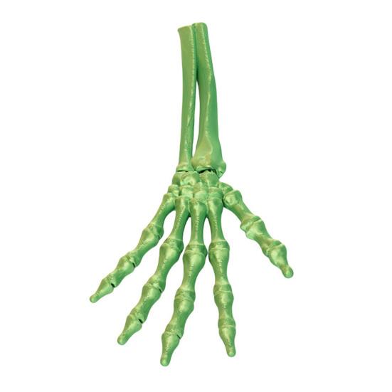 3D Printed Halloween Skeleton Hand Realistic Looking Widely Used Fake Human Hand Party Terror Scary Props Decoration