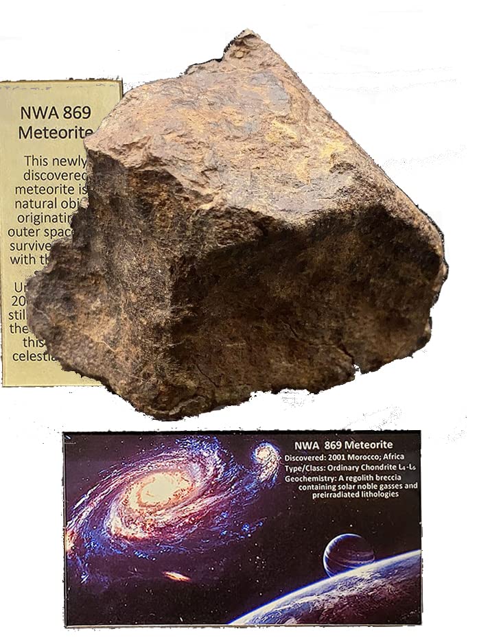 НАУКА Настоящий образец метеорита Метеорит NWA869 Западная Африка Рядом с каменно-железным метеоритом Хондрит в оригинальном футляре 82 60 В40 «Каменный (Север 869) коричневый