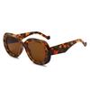 Vintage Oval Sunglasses for Women & Men Trendy Orange Shades Fashionable Look Summer Street Style