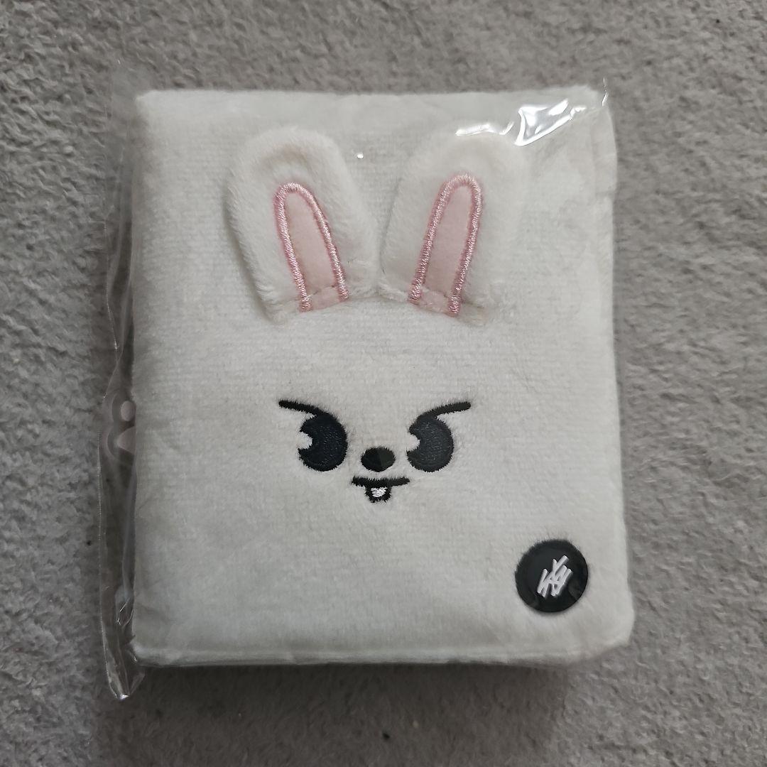 

[USED] Stray Kids Reno Pop-Up Photo Card Case Leebit