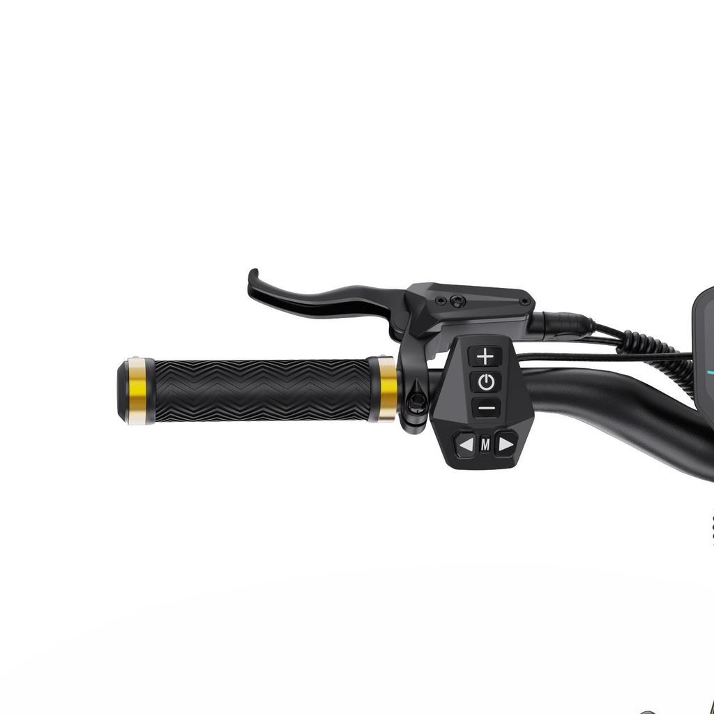 Electric Scooter Foldable OOTD S30 10" 1200Wx2 Motor 23.4AH Range 60Km Load 120Kg Black