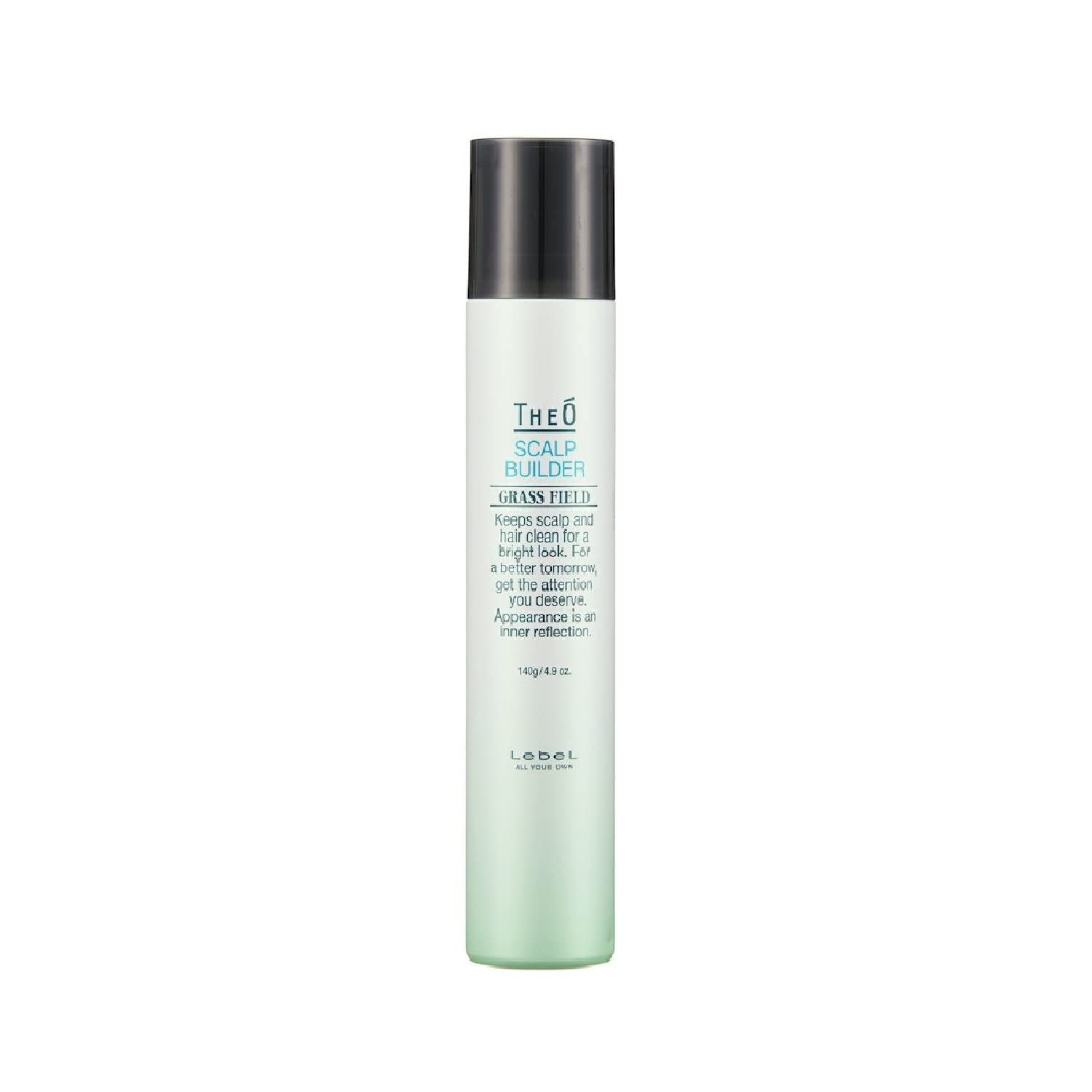 

Io Lebel Cosmetics Lebel Geo Scalp Builder 140g [Quasi-drug]