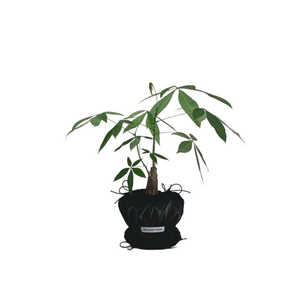 WELCOMETOCC POUPOUPOT BLACK Medium