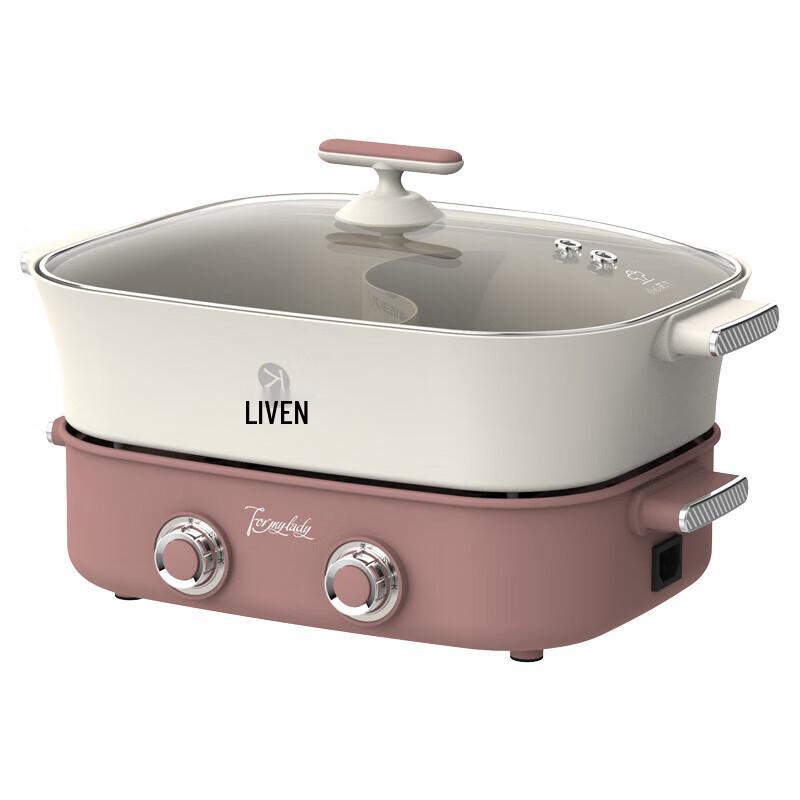 Liren Dual-Control Divided Electric Hot Pot CN plug (adapter included)