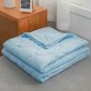 Piumone Estivo Fresco Leggero Trapuntato Singolo Matrimoniale King Size Reversibile Traspirante Coperta Trapuntata per Letti Viaggio Uso Domestico
