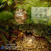 Solar Led Lantern Light Outdoor Hanging Projection Light With Hollow Wrought Iron Design Waterproof Yard For Garden Art Decoration