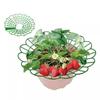 1/3Pcs Round Strawberry Stand Anti-ground with Three Sturdy Legs Strawberry Cradle Support Anti-corrosion Trellis Planter Insert