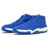 Jordan Future Varsity Royal 656503-401