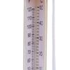 Tierform Schwimmendes Schwimmbadthermometer Badewassertemperaturmesser mit Schnur