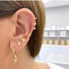 Animal Series Earrings Bling Zircon Hoop Earrings For Women Girls Wedding Jewelry Pendientes Orecchini Drop Earrings Trend